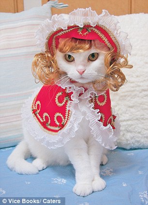 cat 02